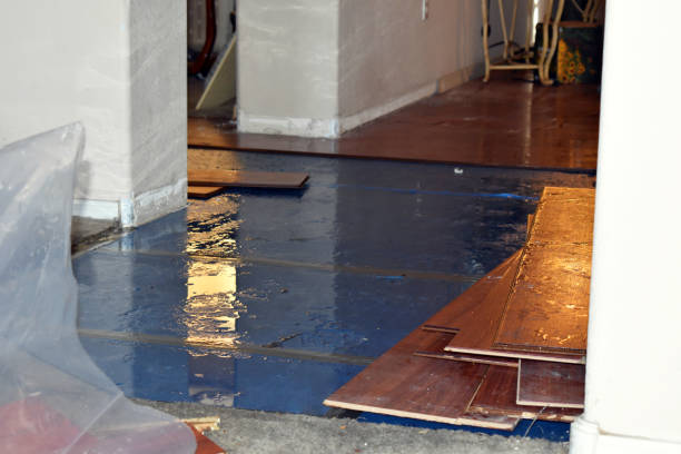 Professional Water Damage Restoration technician working in Dundee, NY